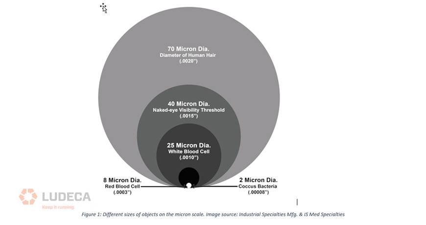 Different sizes of objects on the micron scale.