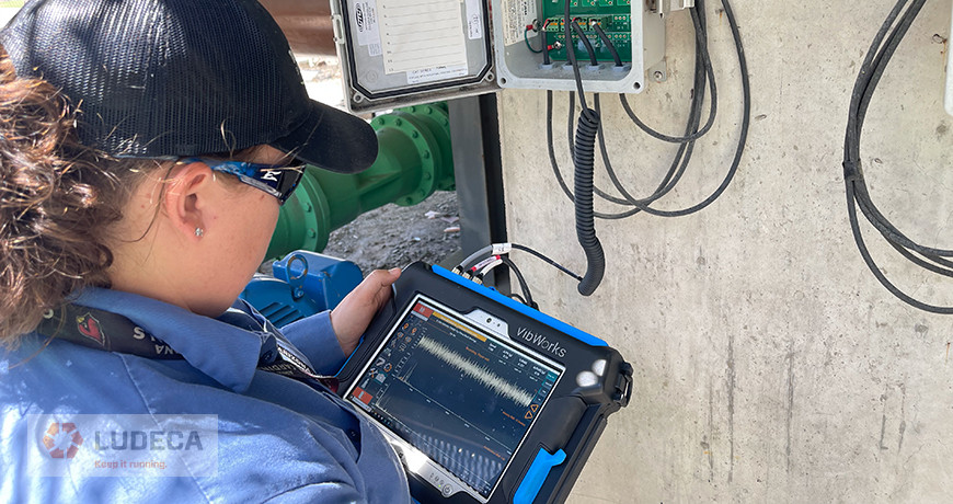 Vibration Analyst Collecting Data