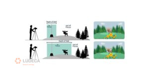 Depth of Field Effect